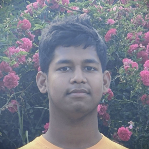User Image