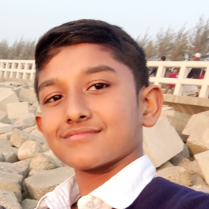 User Image