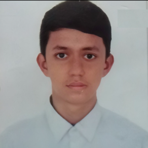 User Image