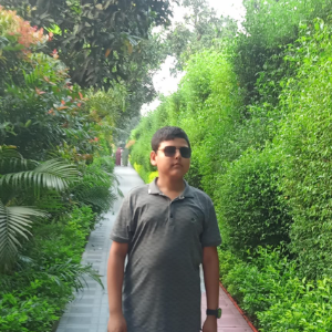 User Image